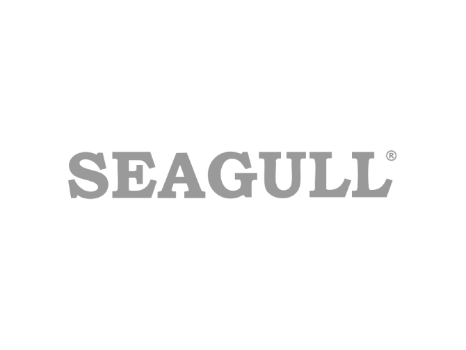 Seagull